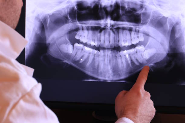 Best Emergency X-Rays and Diagnostics in Alanes Ridge, CA